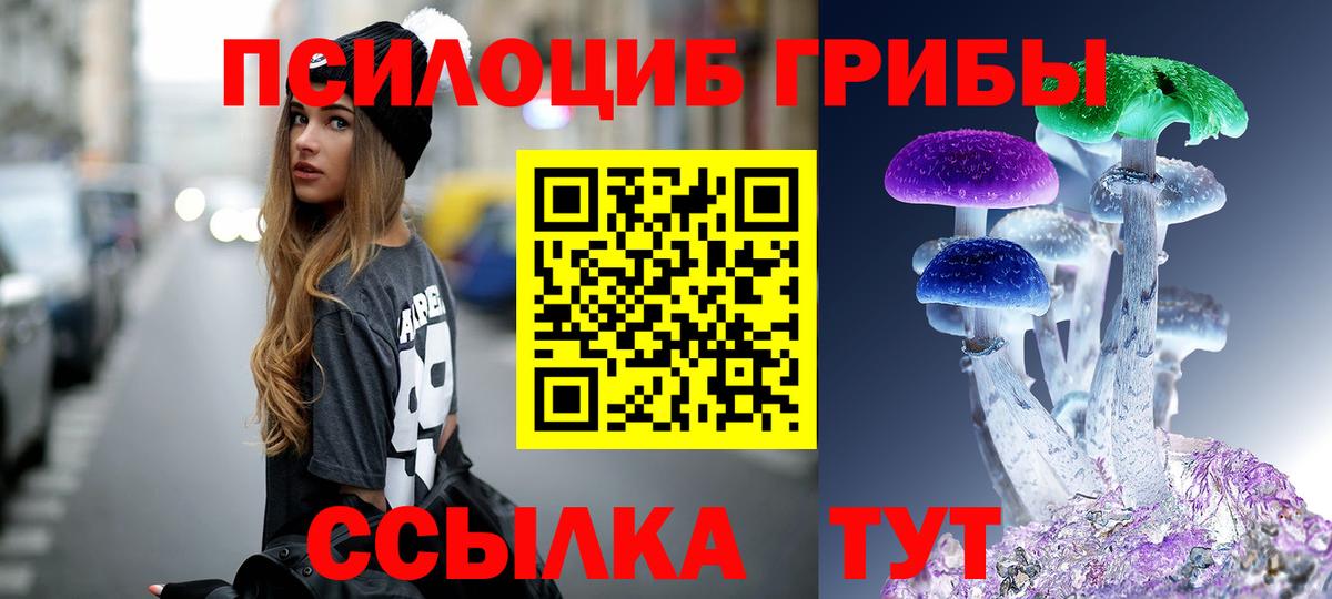 Псилоцибиновые грибы GOLDEN TEACHER Заволжье