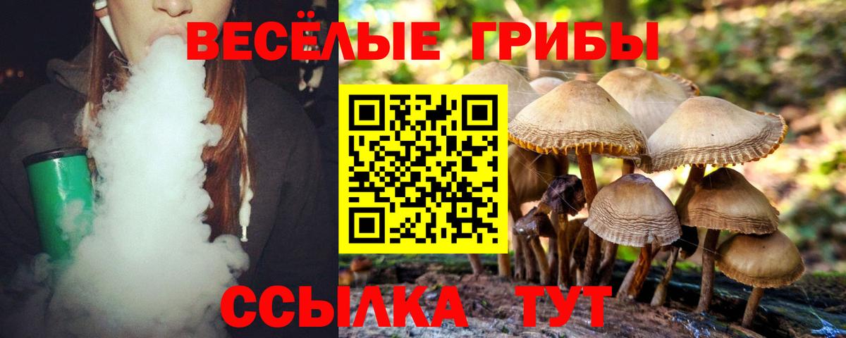 Псилоцибиновые грибы MAGIC MUSHROOMS  Вход с VPN  Заволжье 
